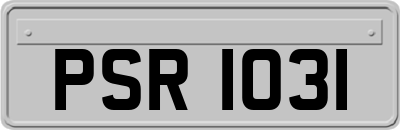 PSR1031