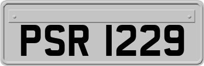 PSR1229