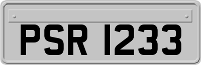 PSR1233