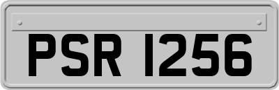 PSR1256