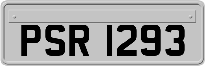 PSR1293