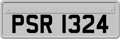 PSR1324