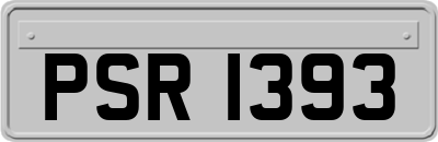 PSR1393
