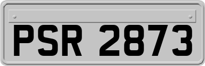 PSR2873