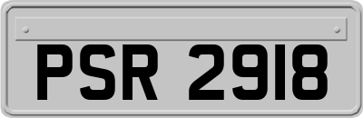 PSR2918