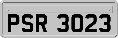 PSR3023
