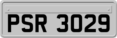 PSR3029