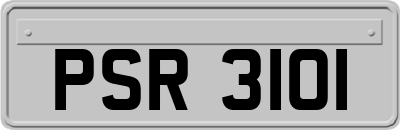 PSR3101