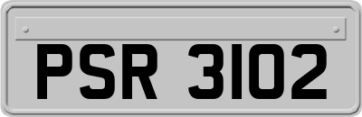 PSR3102