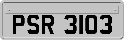 PSR3103