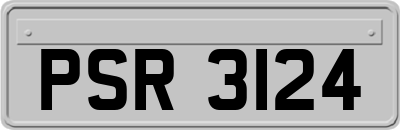 PSR3124