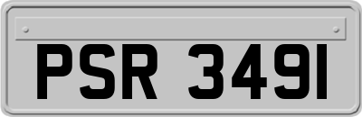 PSR3491