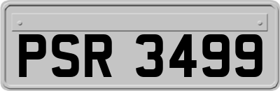 PSR3499