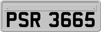 PSR3665
