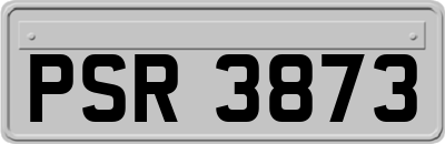 PSR3873