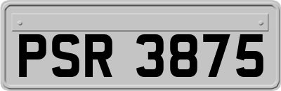 PSR3875