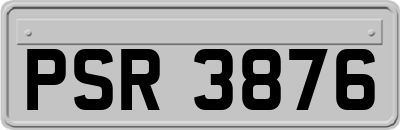 PSR3876
