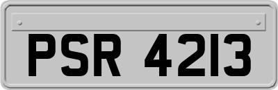 PSR4213