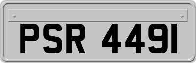 PSR4491