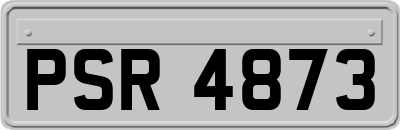 PSR4873