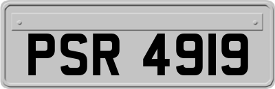 PSR4919