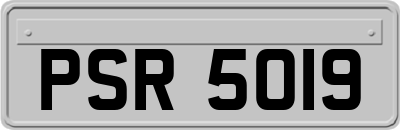 PSR5019