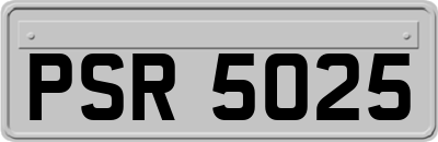 PSR5025