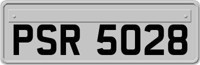 PSR5028