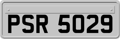 PSR5029