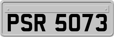 PSR5073