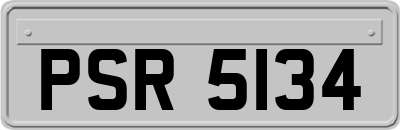 PSR5134