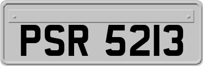 PSR5213