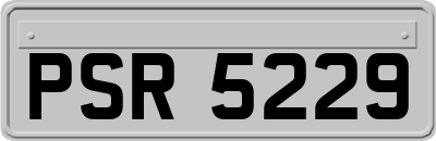 PSR5229