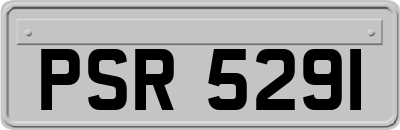 PSR5291