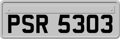 PSR5303