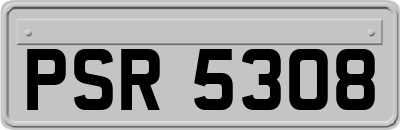 PSR5308