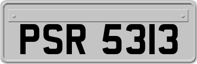 PSR5313