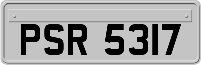 PSR5317