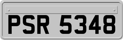 PSR5348