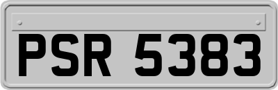 PSR5383