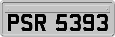 PSR5393