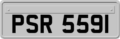 PSR5591