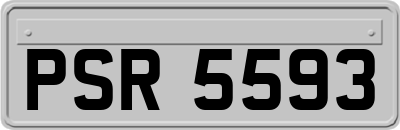 PSR5593