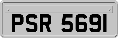 PSR5691