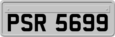 PSR5699