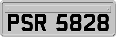 PSR5828
