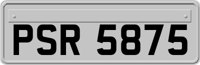 PSR5875