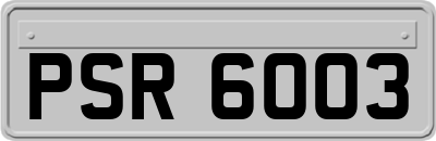 PSR6003