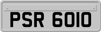 PSR6010