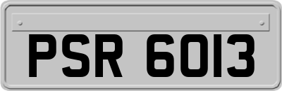 PSR6013